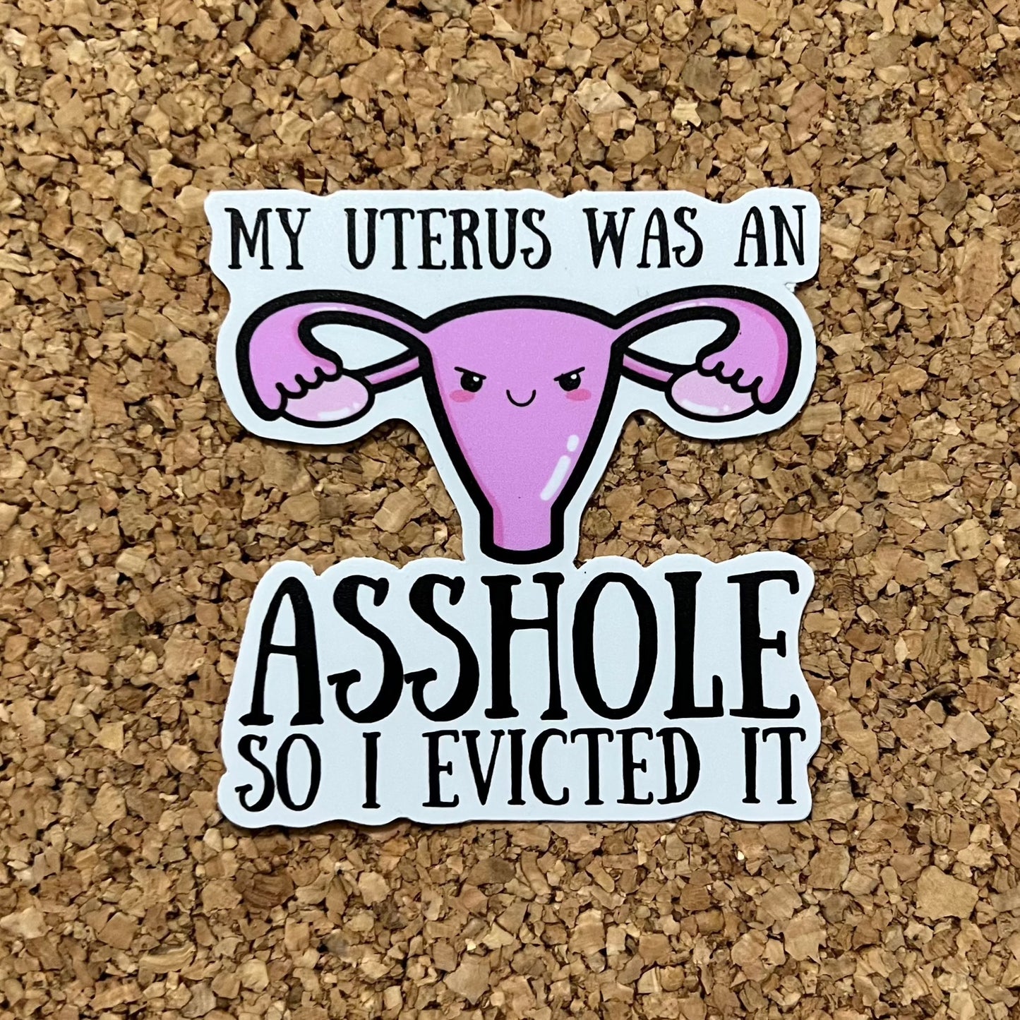 My Uterus Was An Asshole So I Evicted It Endometriosis & Hysterectomy Sticker