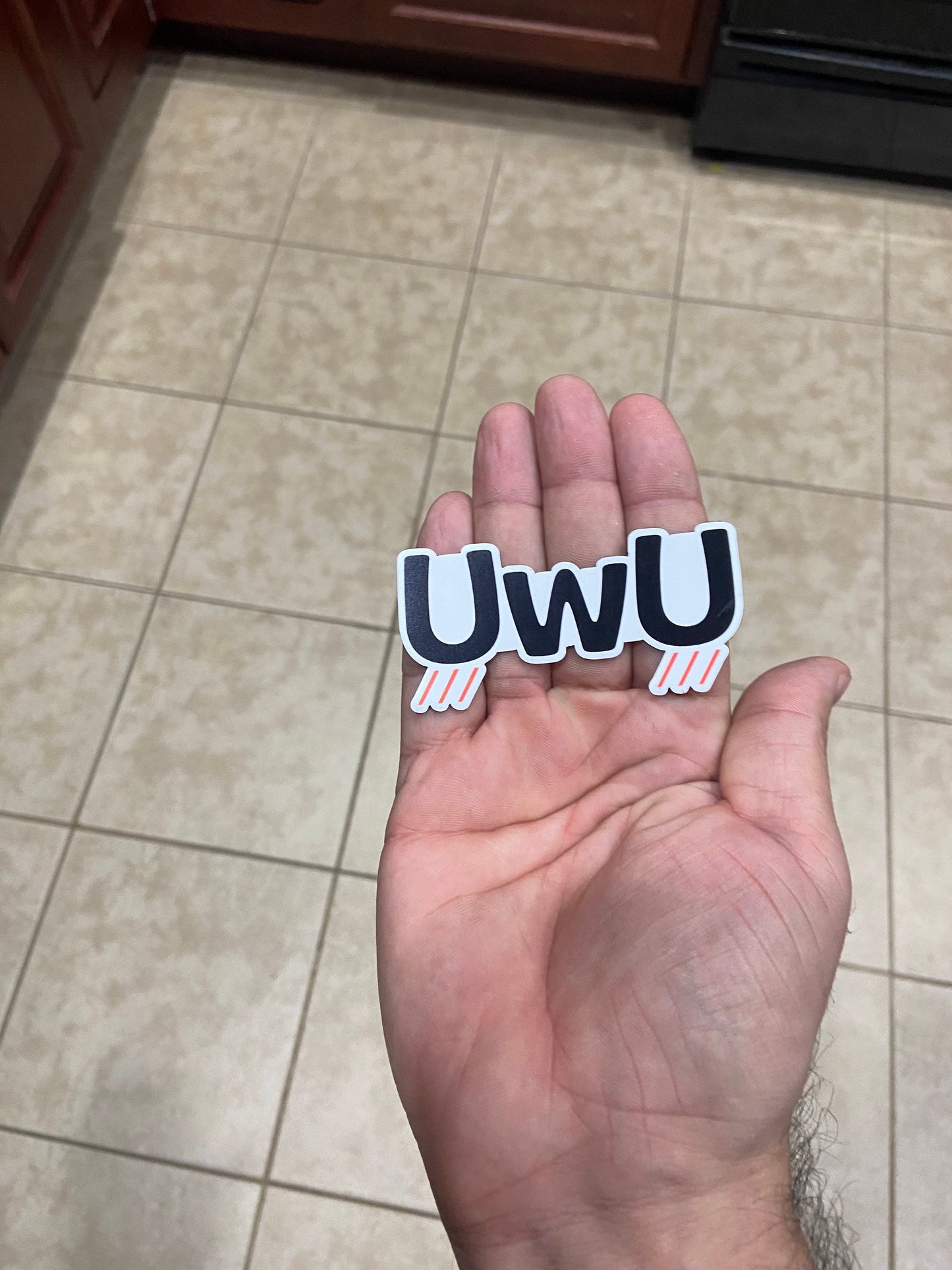 UwU Kawaii Anime Car Magnet