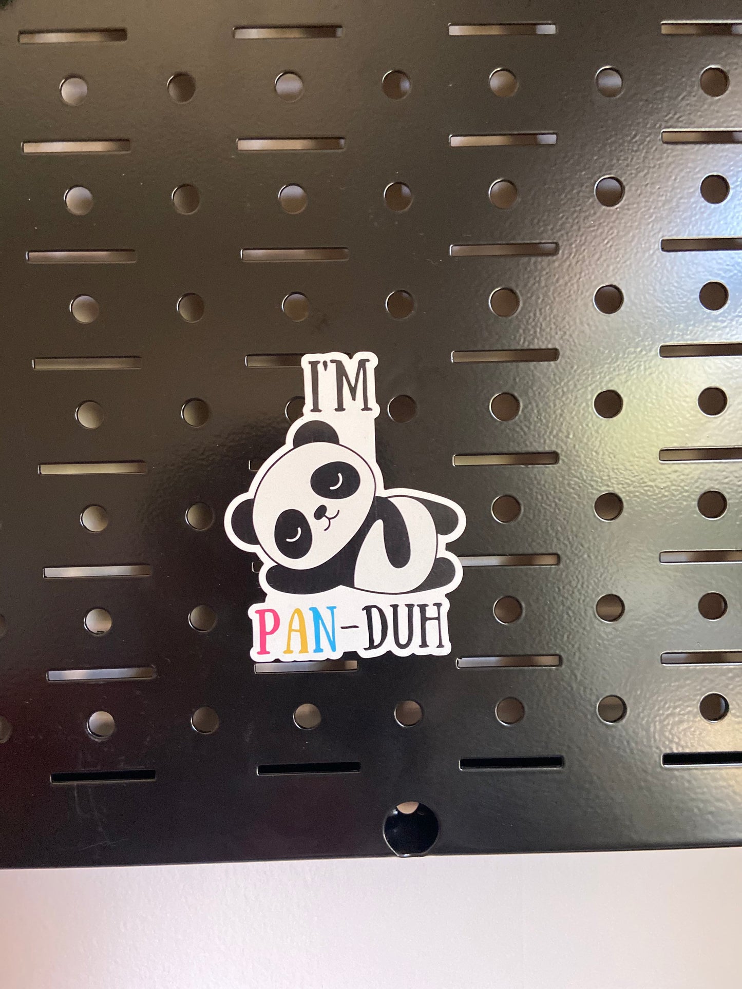 I'm Pan-Duh Magnet Pansexual Panda Pun LGBTQ+ Magnet