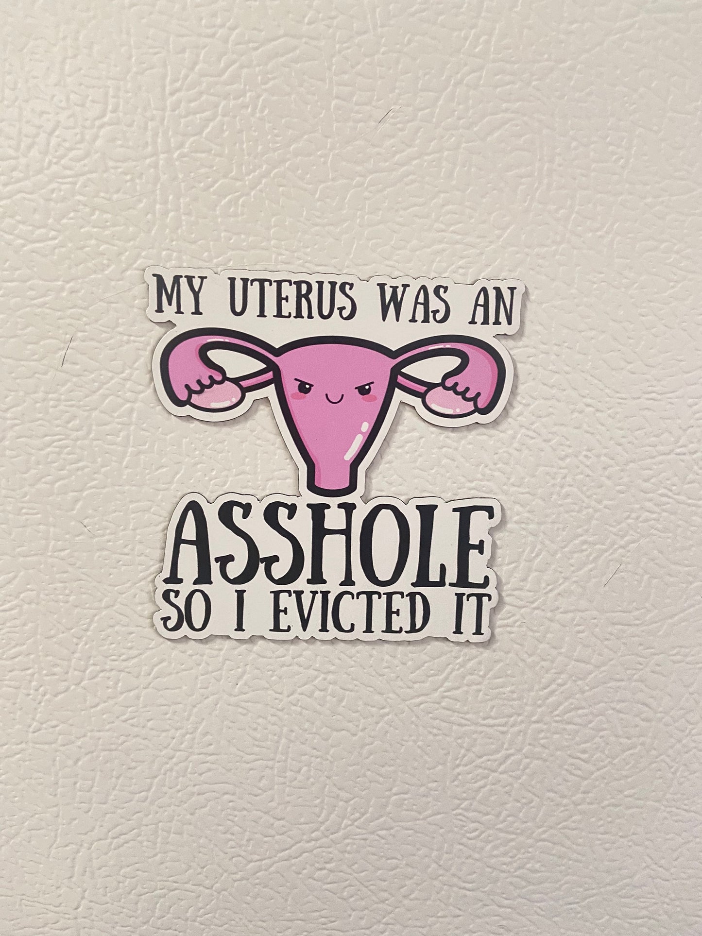 My Uterus Was An Asshole So I Evicted It Endometriosis & Hysterectomy Magnet