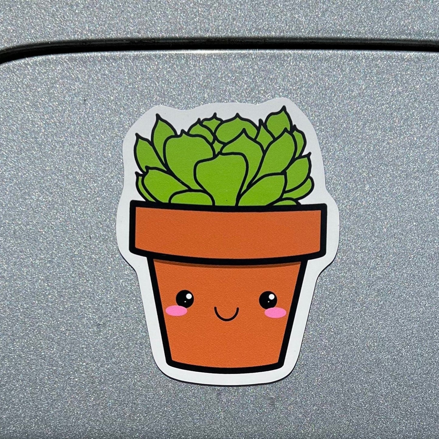 Kawaii Succulent Echeveria Lola Magnet